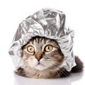 Aluminum Foil Hat on Cat, Aluminium Paper Helmet, Conspiracy Comic Cat, Tinfoil Cap