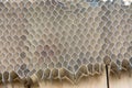 Aluminum honey comb use for automotive industry Royalty Free Stock Photo