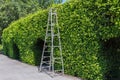 Aluminum ladder with wall green