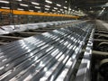 Aluminum lines on a conveyor belt