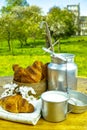 Aluminum milkcan witn organic milk and fresh baked croissants Royalty Free Stock Photo