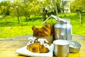 Aluminum milkcan witn organic milk and fresh baked croissants Royalty Free Stock Photo