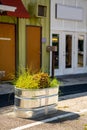 Aluminum plant pot on a sidewalk