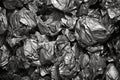 aluminum recycling: crushed cans ready for processing