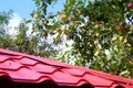 Aluminum roof. Galvanized steel roof plate. Corrugated metal profiled panel. Metal rivets.