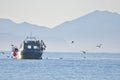 Aluminum work boat hauls in crab nets near Sooke Harbour on a sunny autumn afternoon