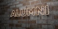 ALUMNI - Glowing Neon Sign on stonework wall - 3D rendered royalty free stock illustration