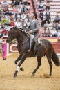 Alvaro Montes, bullfighter on horseback spanish, Jaen, Spain