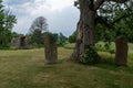 Large obelisk boulders with the ruins of the Alvastra Abbey in the background