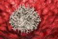Alveolar macrophage, or dust cell Royalty Free Stock Photo