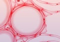 Alveoli in Lungs Tissue Slice, Cross section - Vector Illustration