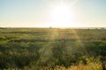 Nature with sunset in Alviso Marina County Park Royalty Free Stock Photo