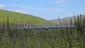 Alyeska Trans Alaska Pipeline Among Tree Tops Royalty Free Stock Photo