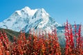 Ama Dablam Royalty Free Stock Photo