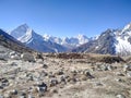 Ama Dablam mountain peak rises above mountain valley in Himalayas Royalty Free Stock Photo