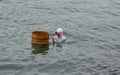 Ama female diver in Mie, Japan