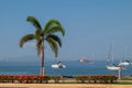 Amador causeway at the panama city, a path with flowers and palms, good asphalt and boats in the background. Popular tourist and