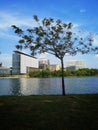 Amaizing panoramic view of beautiful lakeside scenery at  Ayer8 Lakeside Putrajaya. Nature and environmental concepts Royalty Free Stock Photo