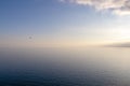 Amalfi - A wild bird flying over the sea at sunset at the Amalfi Coast in Campania, Italy Royalty Free Stock Photo