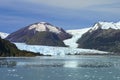 Amalia Glacier at Chile Royalty Free Stock Photo