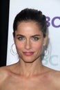 Amanda Peet Royalty Free Stock Photo