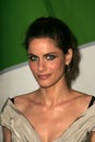 Amanda Peet