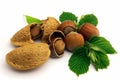 Amande and hazelnuts Royalty Free Stock Photo
