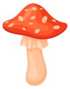 Amanita cartoon icon. Fly agaric. Poison mushroom