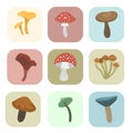 Amanita fly agaric toadstool mushrooms cards fungus different art style design vector illustration red hat Royalty Free Stock Photo