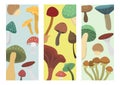 Amanita fly agaric toadstool mushrooms cards fungus different art style design vector illustration red hat