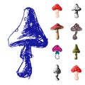 Amanita fly agaric toadstool mushrooms fungus different art style Royalty Free Stock Photo