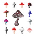 Amanita fly agaric toadstool mushrooms fungus different art style design vector illustration red hat