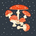 Amanita forest mushrooms. Poisonous fly agaric flat vector illustration. Red spotted mushroom. Isolated on black background Royalty Free Stock Photo