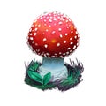 Amanita muscaria or fly agaric mushroom closeup digital art illustration. Conspicuous boletus has red cap with white