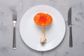 Amanita muscaria fly agaric poisonous mushroom on plate with fork and knife top view