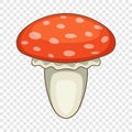 Amanita muscaria mushroom icon, cartoon style Royalty Free Stock Photo