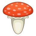 Amanita muscaria mushroom icon, cartoon style Royalty Free Stock Photo