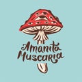 Amanita muscaria poison toxic mushroom illustration