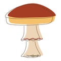 Amanita mushroom lineart. Edible Organic mushrooms. Truffle brown cap. Forest wild mushrooms types Royalty Free Stock Photo