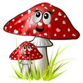 Amanita mushroom with muzzles. Vector colorful illustration