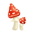 Amanita mushrooms. Cute poisonous toadstools with red spotted cap cartoon vector illustration Royalty Free Stock Photo