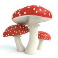 Amanita Mushrooms Royalty Free Stock Photo