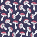 Amanita mushrooms seamless pattern