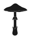 Amanita phalloides silhouette, poisonous mushroom, death cap. Deadly mushroom, poisonous mushroom.