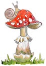 Amanita, poisonous mushroom, hand drawn watercolor illustration