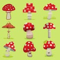 Amanita poisonous mushroom, isolated vector Royalty Free Stock Photo