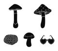Amanita, porcini, black truffle,toadstool. set collection icons in black style vector symbol stock illustration web.