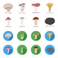 Amanita, porcini, black truffle,toadstool. set collection icons in cartoon,flat style vector symbol stock illustration