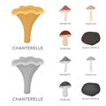 Amanita, porcini, black truffle,toadstool. set collection icons in cartoon,monochrome style vector symbol stock