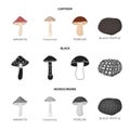 Amanita, porcini, black truffle,toadstool. set collection icons in cartoon,black,monochrome style vector symbol stock